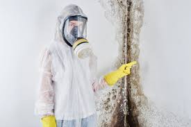 Environmental Consulting for Mold Prevention in Earlington, KY